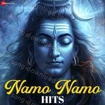 Namo Namo Hits - Alka Yagnik Song Download